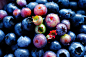 Photograph Stages of Blueberries by Susan Brown on 500px