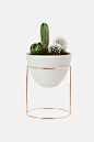 Ivy Muse Nest - Copper Plated with White Vessel: 