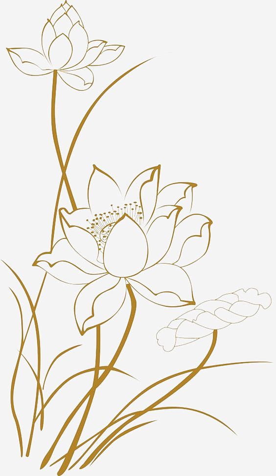 lotus clipart,line c...