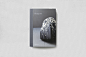 Amura - Collection catalogue : Amura collection catalog