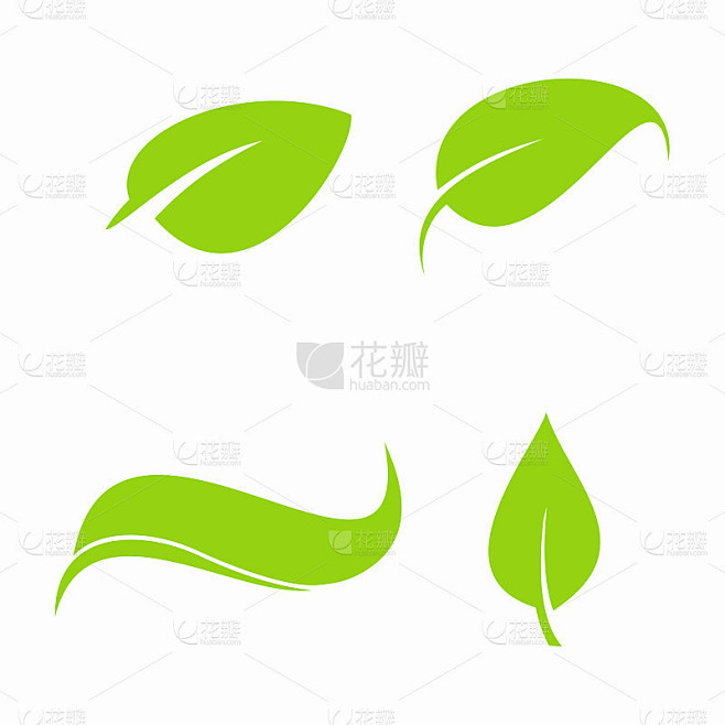 叶子图标向量。各种形状的绿叶。生态和生物标志的元素。