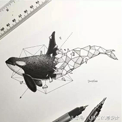呦哟采集到黑白画