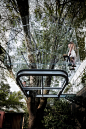 墨西哥水晶树屋，庭院里的微型森林 / Broissin – mooool木藕设计网