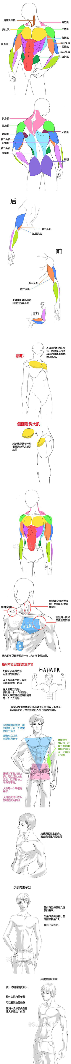 柠檬橘子西米露采集到绘画