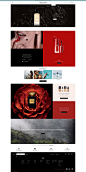 Fragrances, Makeup, Skincare & Gifts   Giorgio Arm