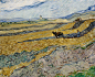 1251px-Vincent_van_Gogh_-_Enclosed_Field_with_Ploughman_-_Google_Art_Project.jpg (1251×1024)