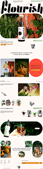 Flourish landing page design inspiration - Lapa Ninja