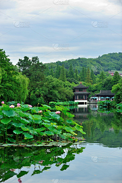 神智無知采集到参考（景）