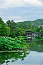 quyuanfenghe