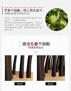 波兰进口Seboradin丝柏汀生发营养液护发精华液增发固发密发安瓶-tmall.hk天猫国际
