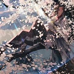 #动漫壁纸# 阴阳师电脑壁纸分享，相当漂亮的一组美图呀看着就很舒服，喜欢的点个赞吧!