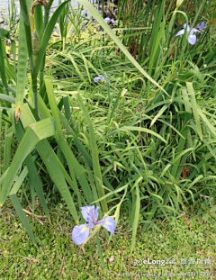 xdong123采集到走进厦门植物园进入植