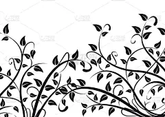 Spring background concept. Plants and foliage on w