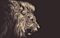 Best wallpapers (trending) - Wallhalla : Best, high quality wallpapers for your desktop and mobile.