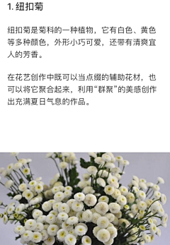 镜子的电脑采集到其它-花