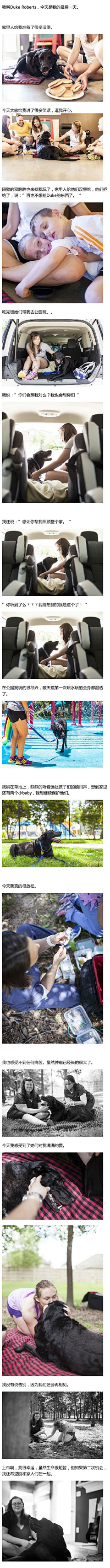鬼噬王采集到策划设定参考
