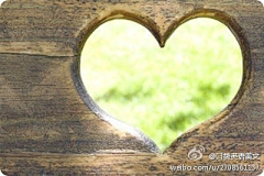 满绿采集到路过心灵的句子、、