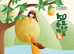 一款50年老树蜂蜜梨的手绘包装