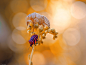 Thierry Dufour : Browse 200,000 curated photos from photographers all over the world