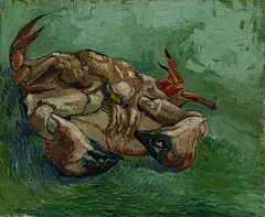 Crab-on-Its-Back