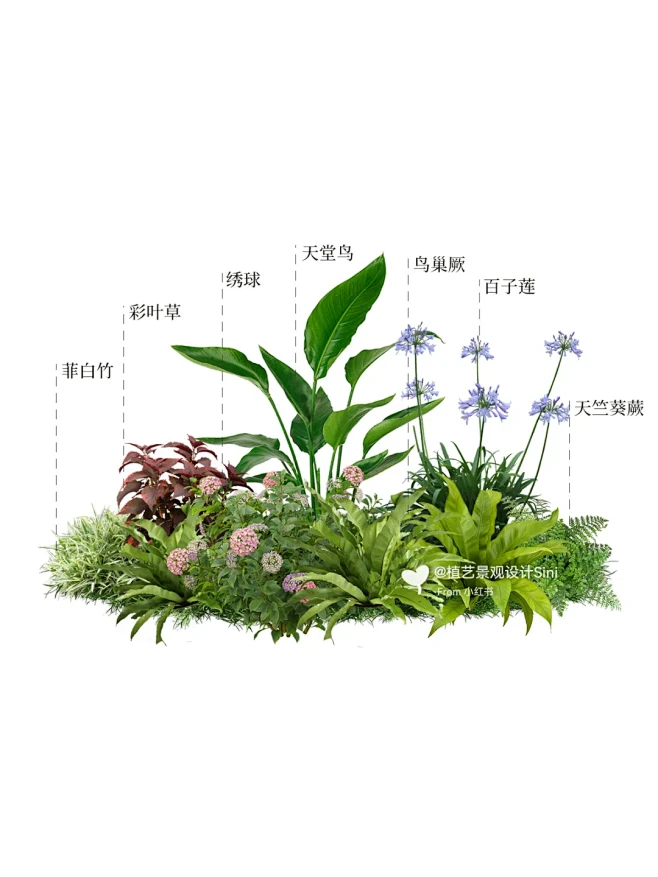 四季通用组团小花镜丨简约大气花园植物搭配 - 小红书-花瓣网