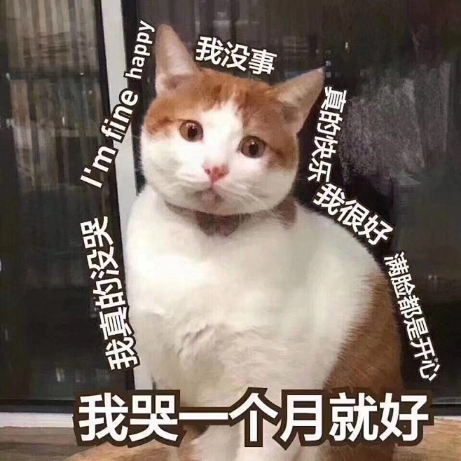 表情包