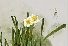 二十四节气对应的花朵 : 1、立春2月3-5日(阴历腊月十六日)：迎春花迎春花与梅花、水仙和山茶花统称为“雪中四友”，当迎春花开放的时候说明离春天也就不远了，这时候天气也渐渐回暖，所以十四节气对应的花...