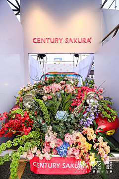 W92MXV5P采集到时尚