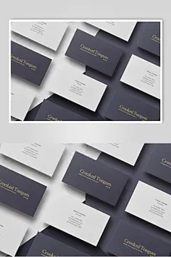 名片高雅商务风样机