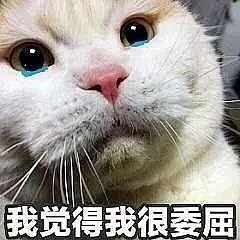 游戏菜能怪我吗 