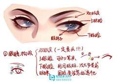 （小禽歌）采集到教程 过程图