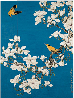 ii🌸采集到美️