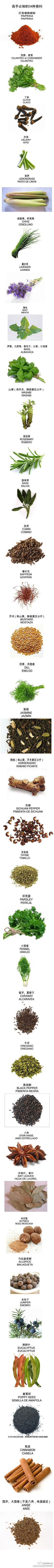 【高手必知的34种香料】美食中最有分量却...