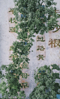 Chinese Herbal Garden, China by DnA_Design and Architecture Studio : Calligraphy written with Chinese herbal plants
