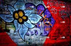 涂鸦 街头艺术 艺术 墙 壁画 喷 喷雾器