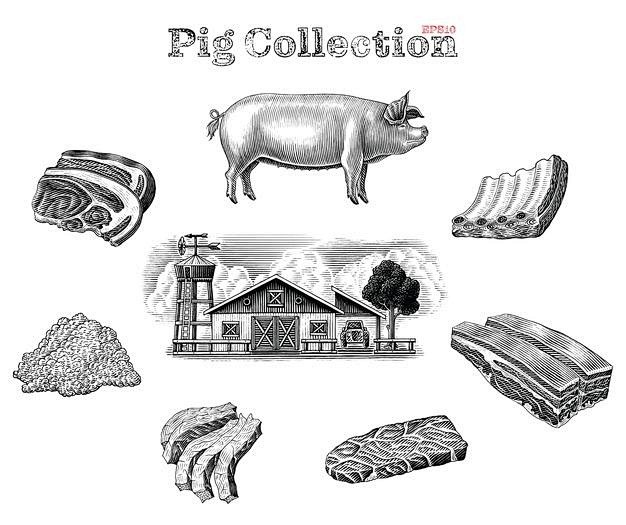 Pig elements black a...