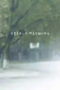小清新 文字 壁纸 花开那年 匆匆那年 魏晨