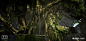 lucas-sparks-tree-climb-1