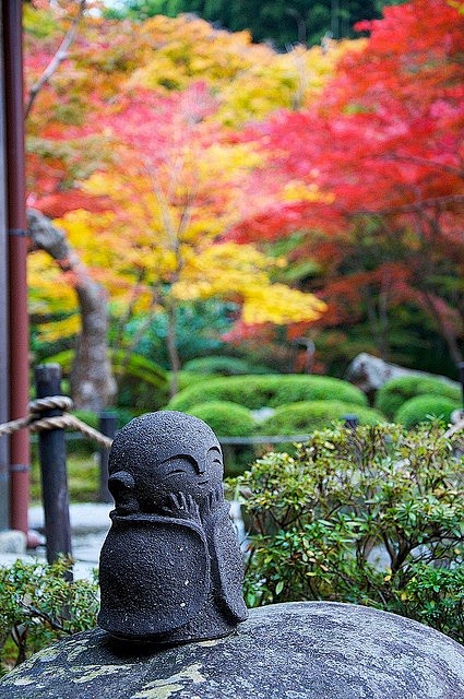 Japanese garden