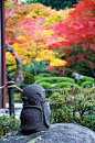日本园林
Japanese garden