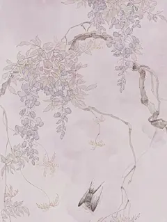 紫藤萝瀑布，并两只小燕_3_防风嘤冶_来自小红书网页版