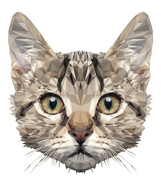 Low Poly Cat Digital...