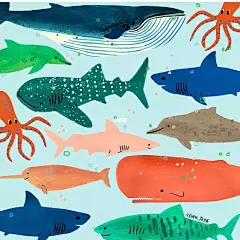 美术老师可以给孩子看的插画素材-海底生物