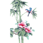 中国画花鸟-免抠PNG透明素材