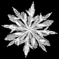 frost-64159