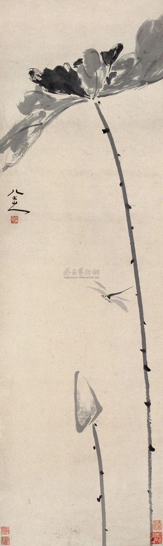 朱耷（八大山人）——款《荷花蜻蜓》花鸟立轴欣赏 | 明末清初|朱耷(1626~1705)清初画坛"四僧"之一，中国画一代宗师。本名朱统托，字雪 ...