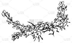 手绘插图抽象玫瑰或牡丹花孤立在白色。花卉设计元素的邀请，贺卡，海报，博客。手绘矢量插图。线的艺术。草