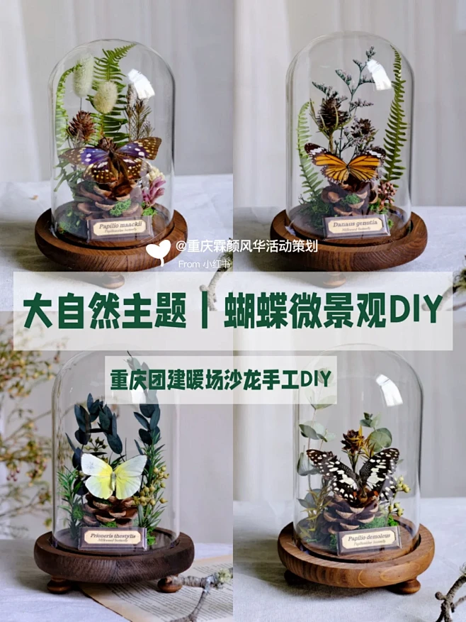 5月活动推荐｜团建暖场沙龙手工DIY大全...