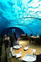 【图】马尔代夫海底餐厅_肉肉98的收集