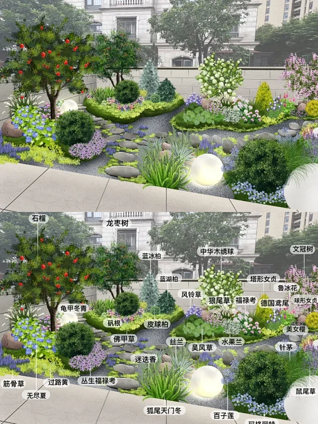 植物配置分享-花瓣网